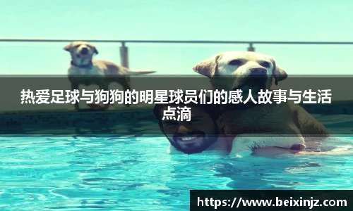 尊龙凯时人生就是搏!